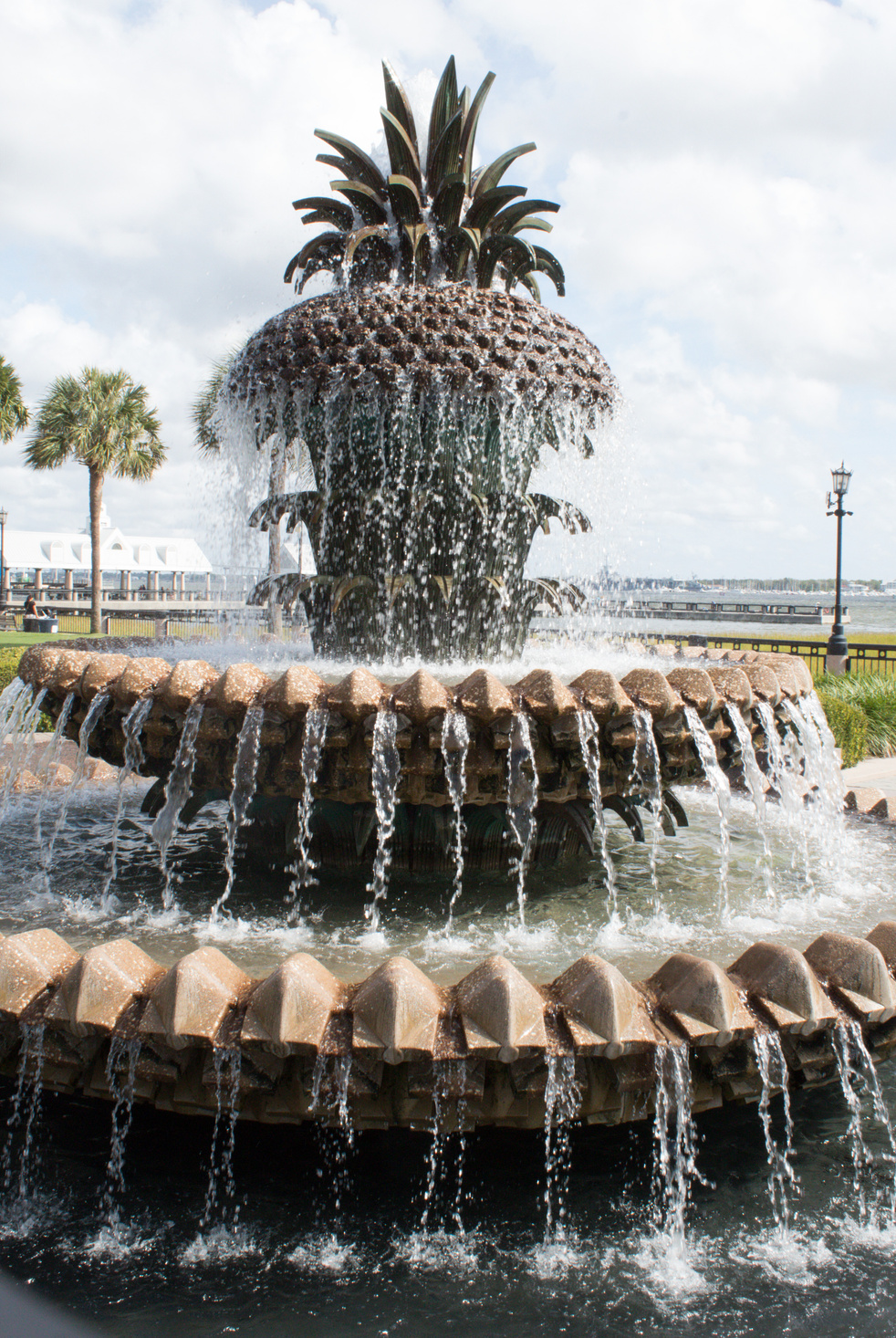 Pineapple water fountain